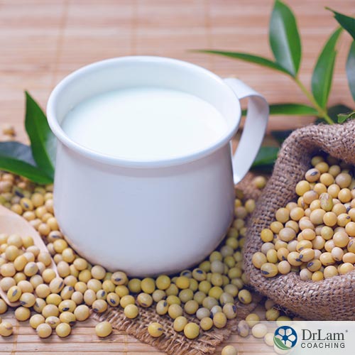Soy Milk Benefits and A Recipe for Avoiding the Cons